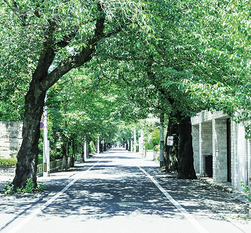 ピンとくる立地。そんな場所をタカマツハウスはこだわりぬく。