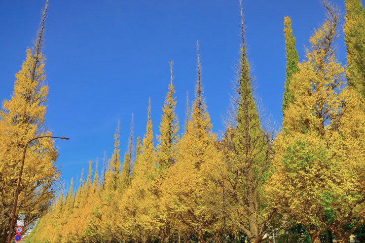 港区南青山4丁目
