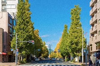 マレリッチ研究所とは？