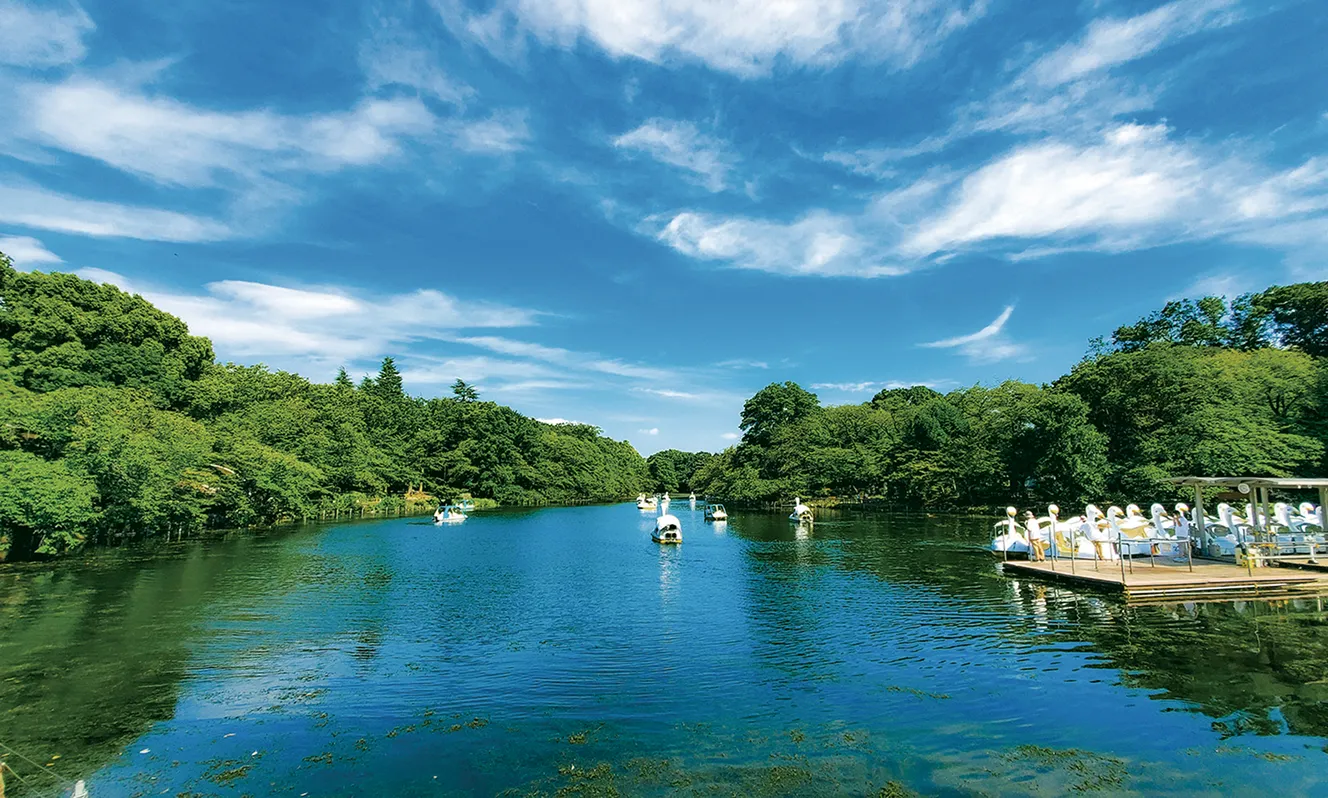 井の頭公園